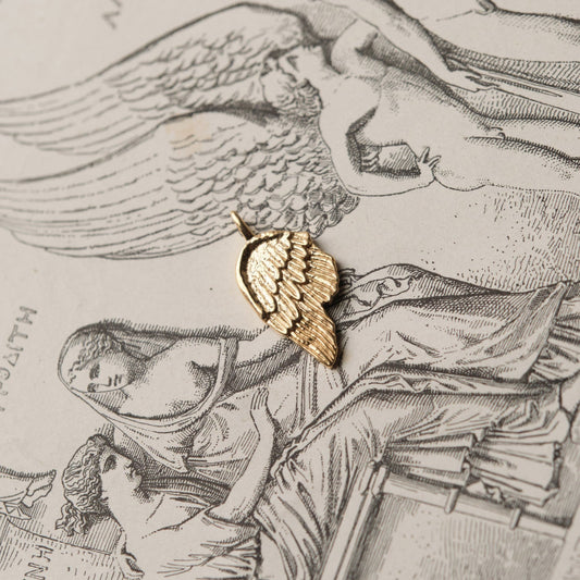 The Broken Wing Pendant