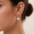 925 Sterling Silver White Gold Plated Akoya Pearl Hoop Earrings (Hypoallergenic)