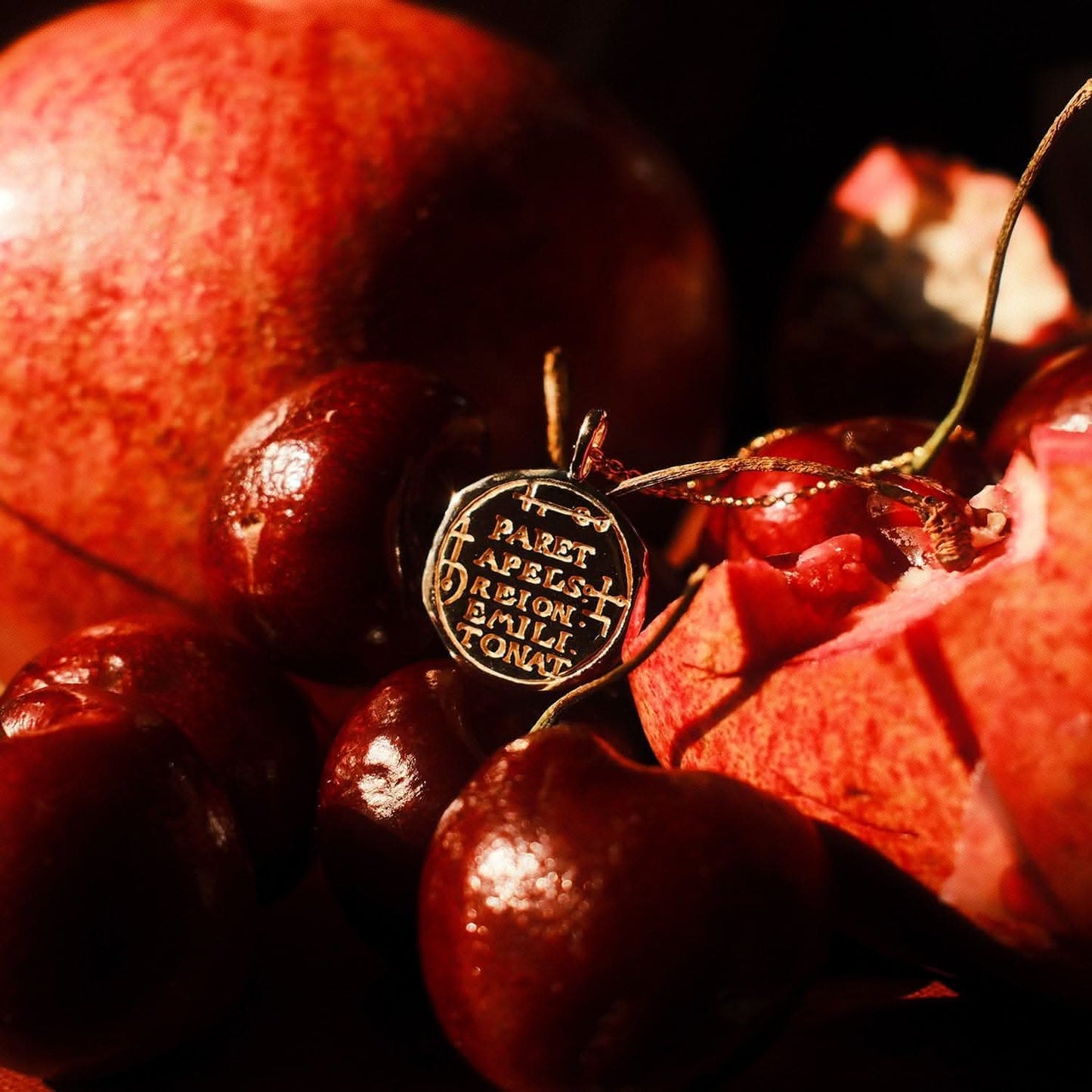 Capricorn Alchemical Zodiac Pendant