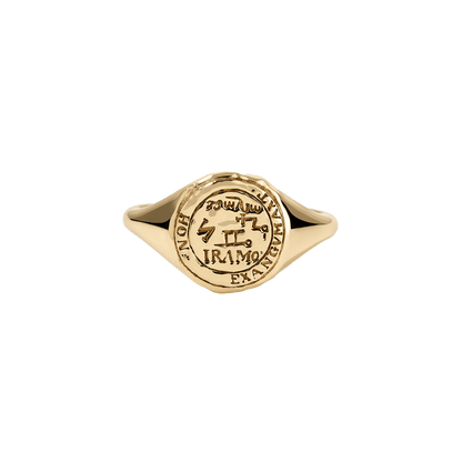 Gemini Alchemical Zodiac Signet Ring