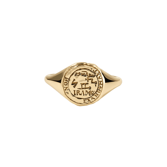 Gemini Alchemical Zodiac Signet Ring