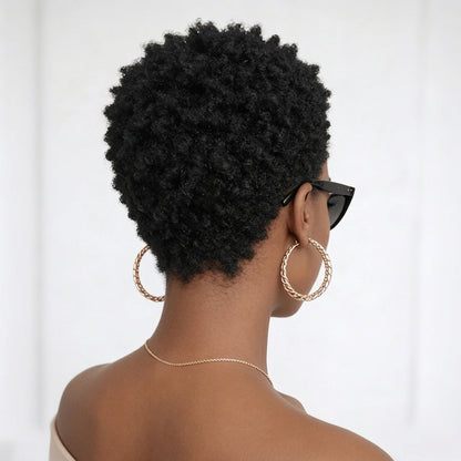 Vibrant Afro Elegance Pixie Wig