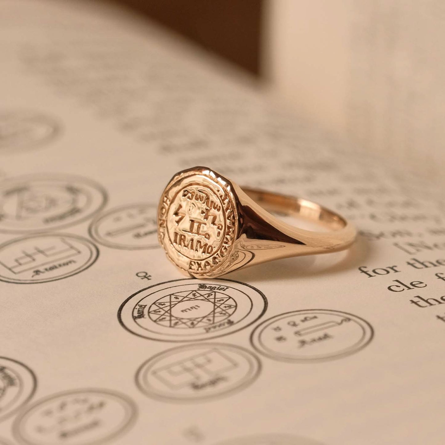 Gemini Alchemical Zodiac Signet Ring