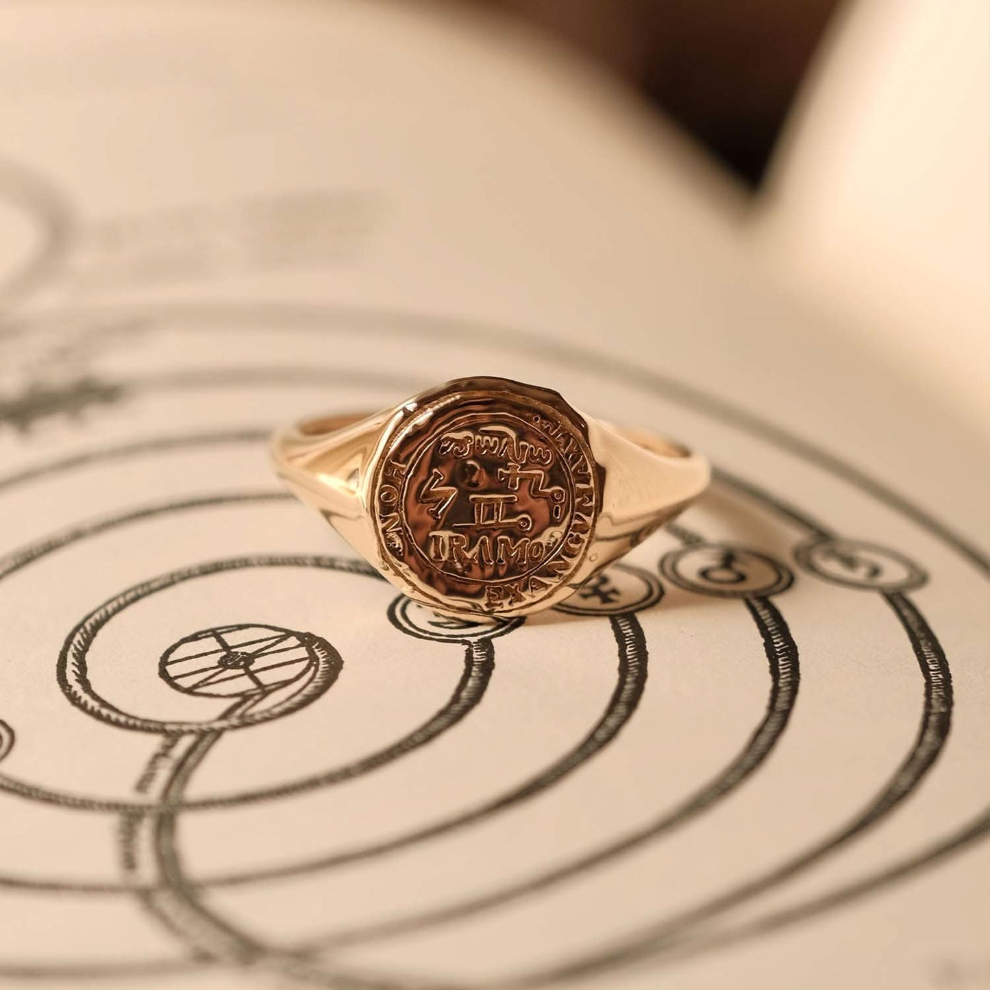 Gemini Alchemical Zodiac Signet Ring