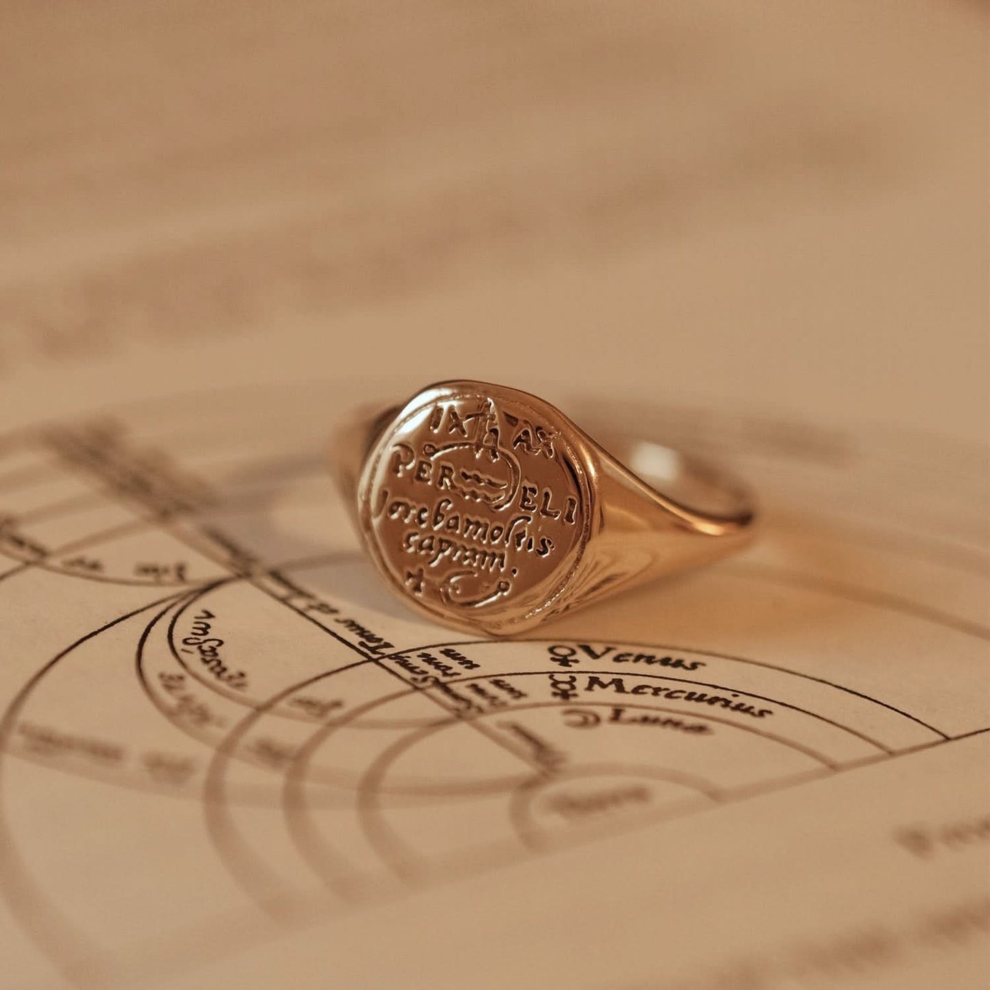 Aquarius Alchemical Zodiac Signet Ring