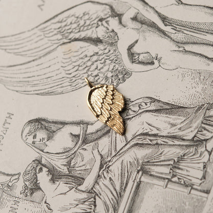 The Broken Wing Pendant